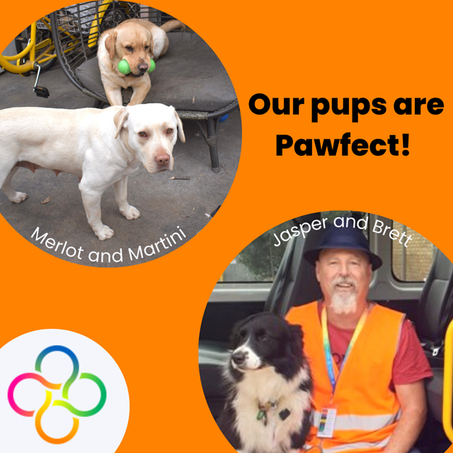 Our pups are pawfect